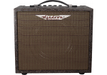 25W Acoustic combo