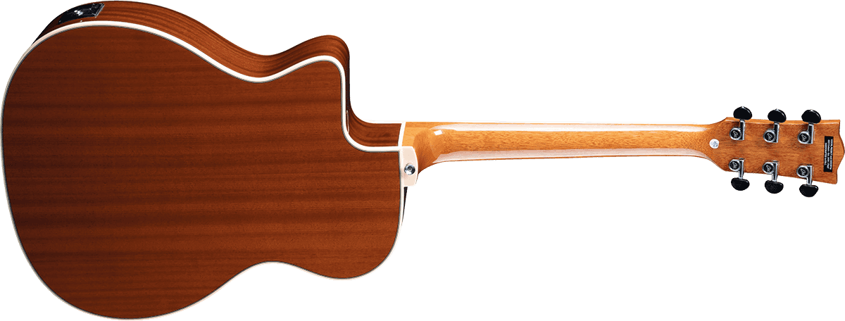 NXT A100CWE Auditorium cutaway Natural left-handed