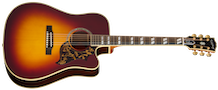 Hummingbird Deluxe EC Natural