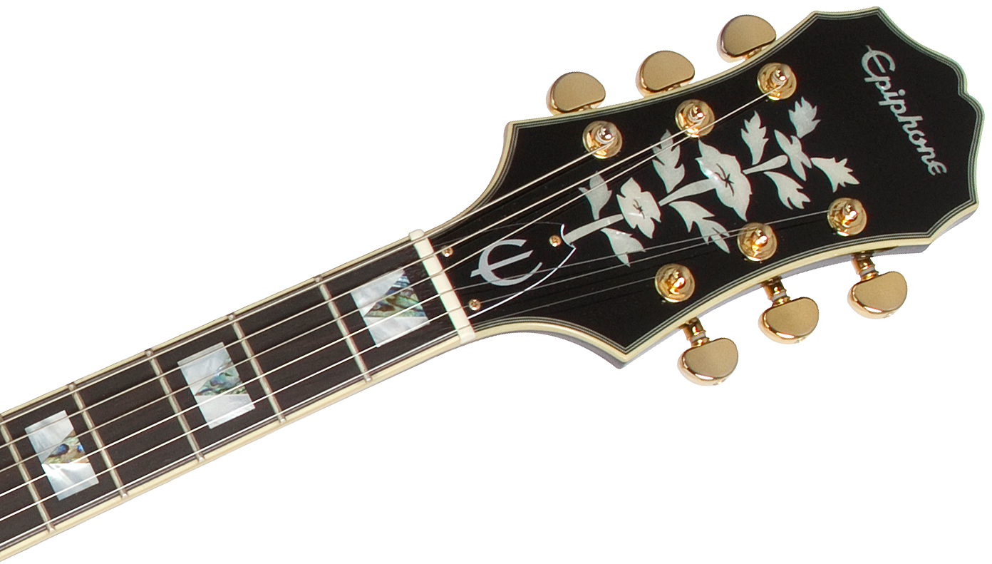 Sheraton-II Pro ProBuckers Ebony