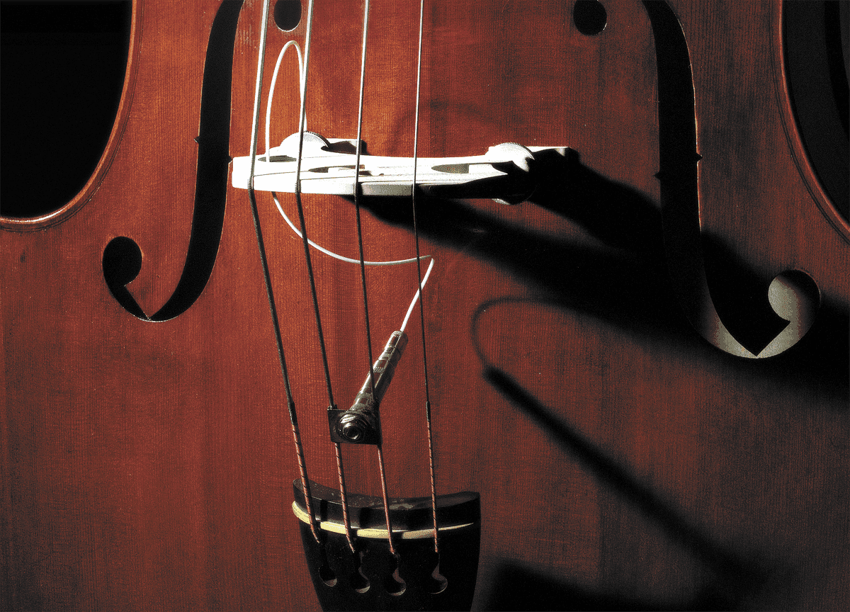 Full Circle Upright Bass 1/4-20 format