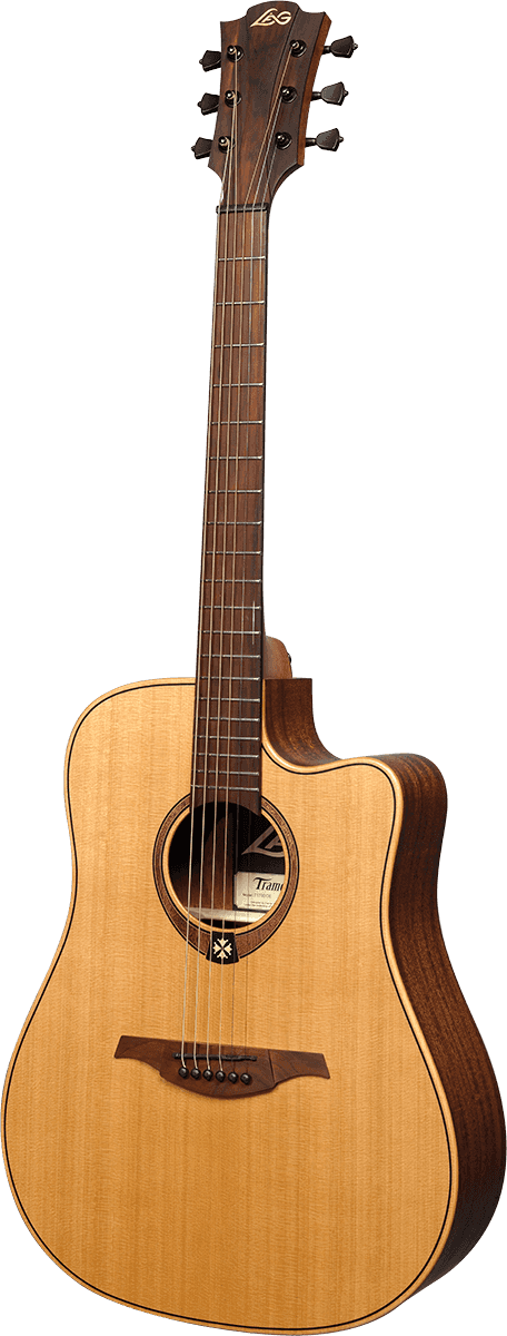 Tramontane Dreadnought Cutaway Electro