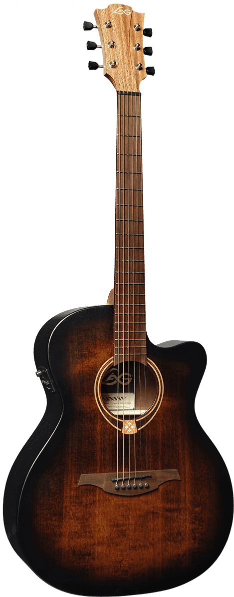 Auditorium Cutaway Electro Black & Brown