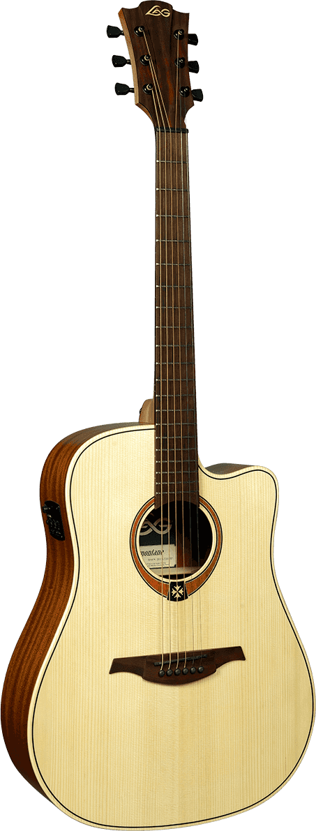 Dreadnought cutaway electro