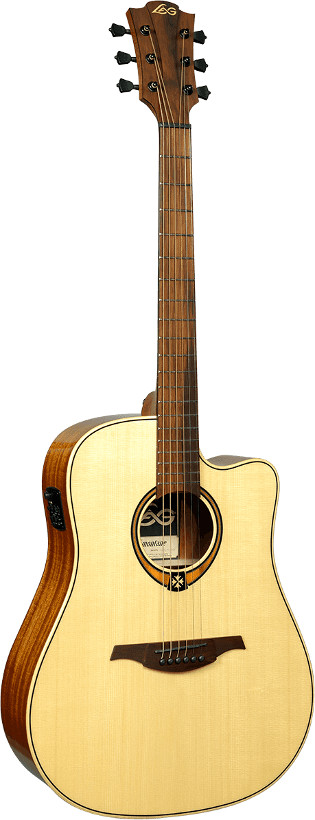 Dreadnought cutaway electro