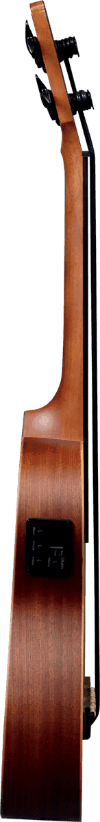Tiki Bass Fretless Cutaway Electro