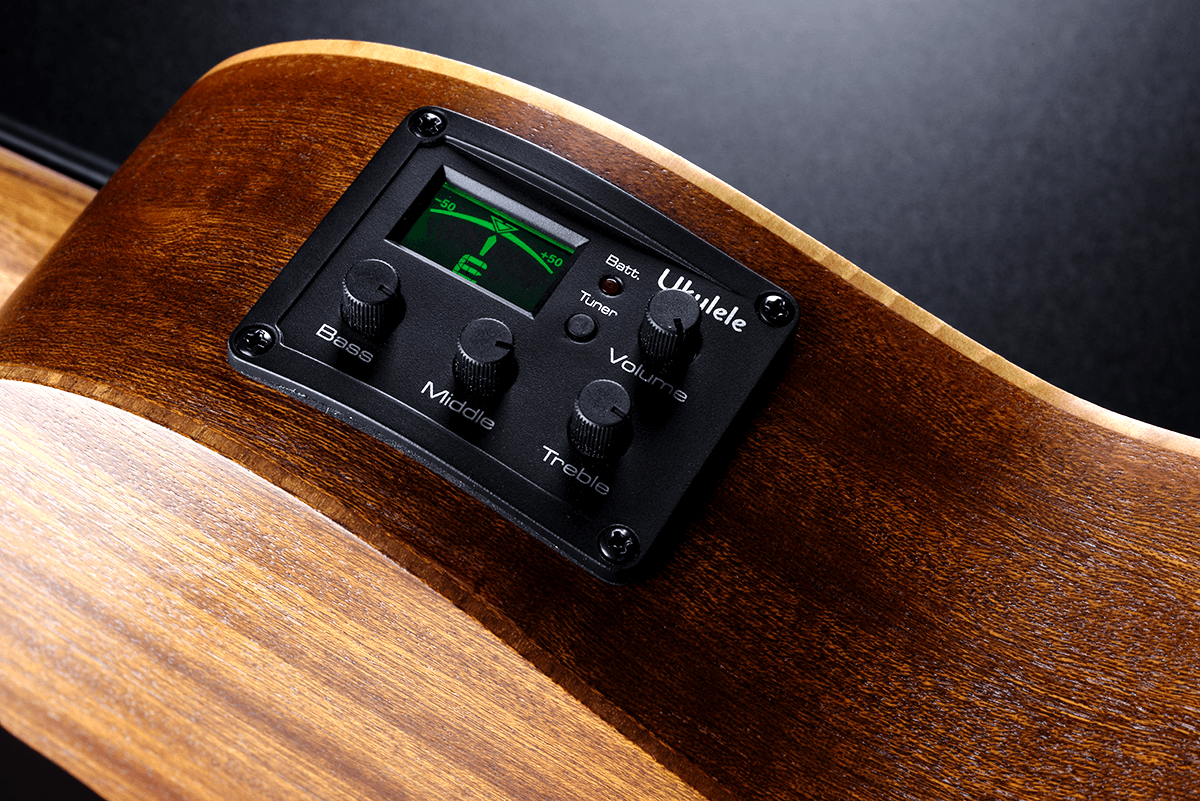 Tiki Bass Fretless Cutaway Electro