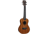 Ukulele Concert