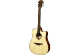 Dreadnought cutaway